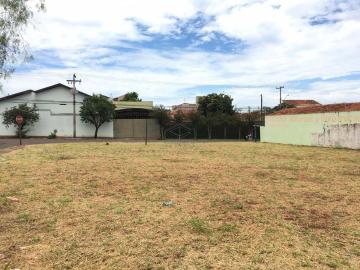 Jau Chacara Braz Miraglia Terreno Locacao R$ 3.000,00 