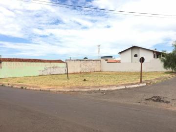 imagem 2 - Terreno - Padrão imagem 2 - Terreno - Padrão