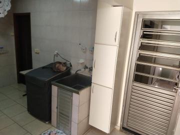 Alugar Casa / Padrão em Bauru. apenas R$ 750.000,00