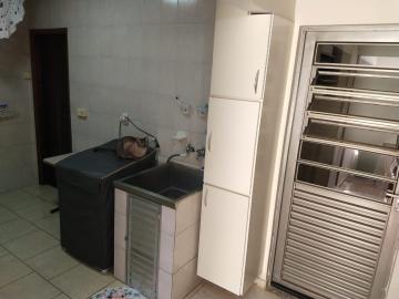 Alugar Casa / Padrão em Bauru. apenas R$ 800.000,00