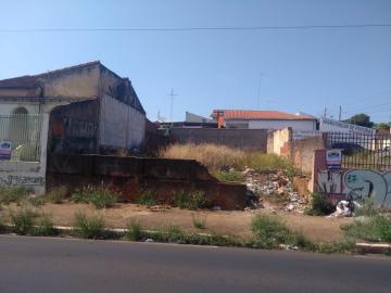 Alugar Terreno / Padrão em Bauru. apenas R$ 250.000,00