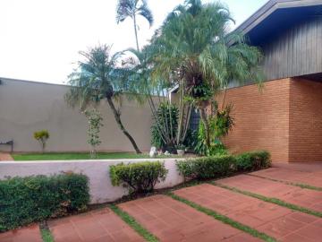 Alugar Casa / Padrão em Bauru. apenas R$ 3.800,00