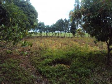 imagem 5 - Rural - ChácaraFazenda imagem 5 - Rural - ChácaraFazenda