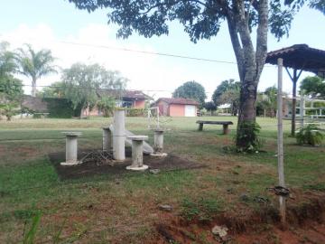 imagem 3 - Rural - ChácaraFazenda imagem 3 - Rural - ChácaraFazenda