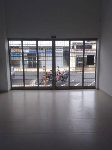 imagem 1 - Comercial - Loja imagem 1 - Comercial - Loja