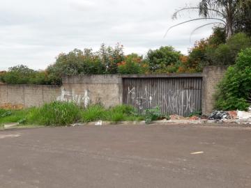 Alugar Terreno / Padrão em Bauru. apenas R$ 90.000,00