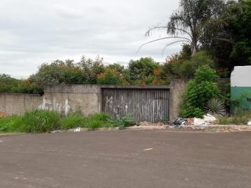 Alugar Terreno / Padrão em Bauru. apenas R$ 90.000,00