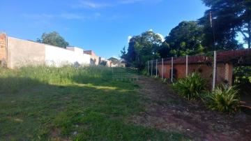 imagem 5 - Rural - ChácaraFazenda imagem 5 - Rural - ChácaraFazenda