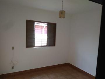 imagem 5 - Casa - Padrão imagem 5 - Casa - Padrão