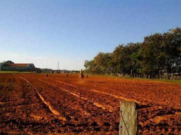 imagem 3 - Terreno - Área imagem 3 - Terreno - Área