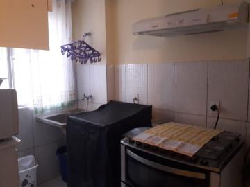 Alugar Apartamento / Padrão em Bauru. apenas R$ 700,00