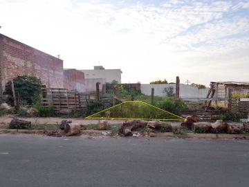 imagem 2 - Terreno - Padrão imagem 2 - Terreno - Padrão