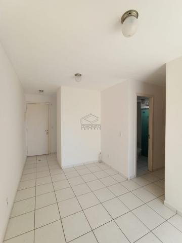 imagem 5 - Apartamento - Padrão imagem 5 - Apartamento - Padrão