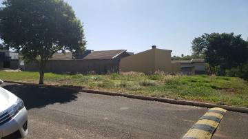 imagem 1 - Terreno - Padrão imagem 1 - Terreno - Padrão