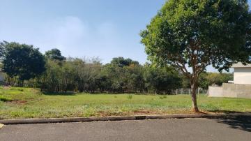 imagem 3 - Terreno - Padrão imagem 3 - Terreno - Padrão