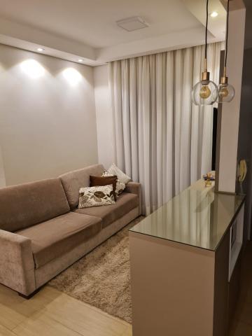 imagem 2 - NOVA NACAO AMERICA imagem 2 - NOVA NACAO AMERICA