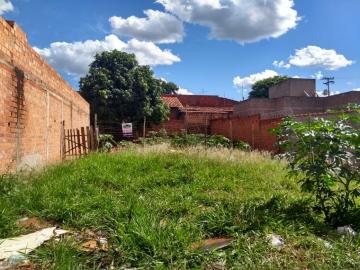 imagem 2 - Terreno - Padrão imagem 2 - Terreno - Padrão