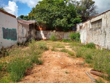 imagem 1 - Terreno - Padrão imagem 1 - Terreno - Padrão