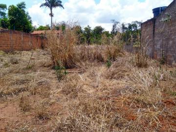 Alugar Terreno / Padrão em Bauru. apenas R$ 70.000,00