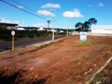 imagem 2 - Terreno - Padrão imagem 2 - Terreno - Padrão