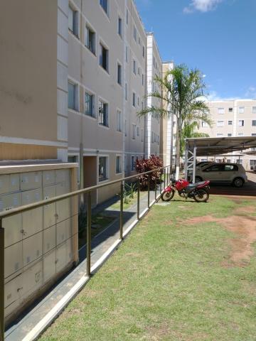 Alugar Apartamento / Padrão em Bauru. apenas R$ 160.000,00