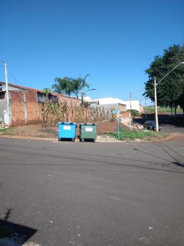 imagem 1 - Terreno - Padrão imagem 1 - Terreno - Padrão