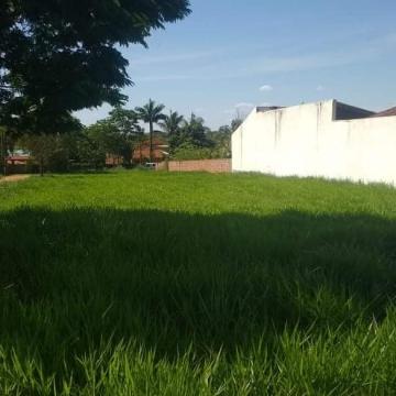 imagem 1 - Terreno - Padrão imagem 1 - Terreno - Padrão