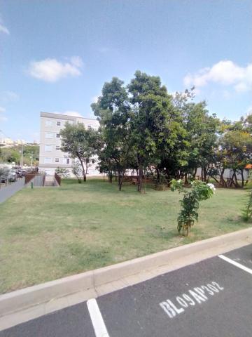 imagem 4 - Apartamento - Padrão imagem 4 - Apartamento - Padrão