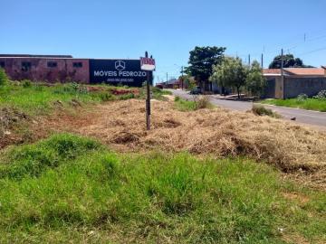 imagem 1 - Terreno - Padrão imagem 1 - Terreno - Padrão