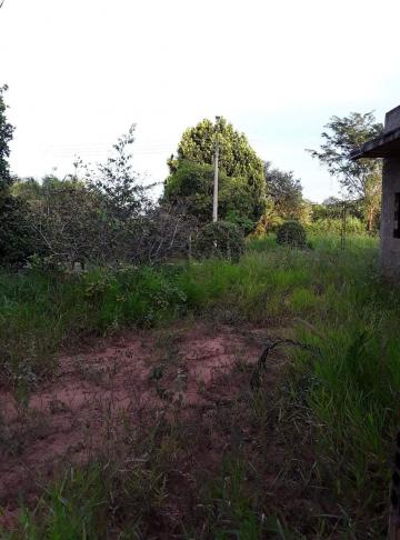 imagem 4 - Rural - ChácaraFazenda imagem 4 - Rural - ChácaraFazenda