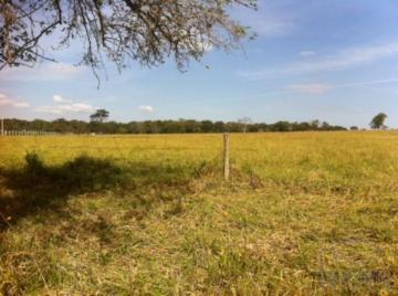 Piratininga Rural chacara Venda R$3.500.000,00 Piratininga Rural chacara Venda R$3.500.000,00