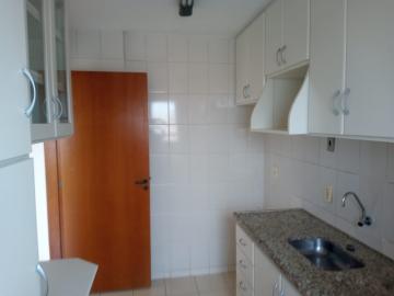 imagem 3 - Apartamento - Padrão imagem 3 - Apartamento - Padrão