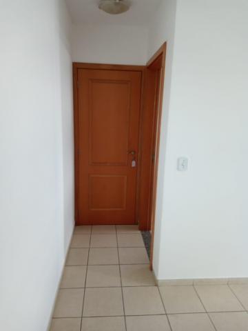 imagem 3 - Apartamento - Padrão imagem 3 - Apartamento - Padrão