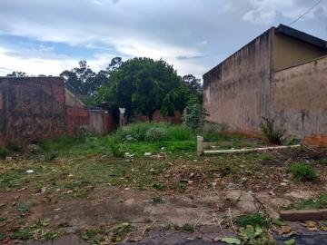imagem 3 - Terreno - Padrão imagem 3 - Terreno - Padrão