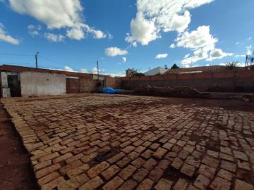 imagem 1 - Terreno - Padrão imagem 1 - Terreno - Padrão