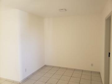 imagem 5 - Apartamento - Padrão imagem 5 - Apartamento - Padrão