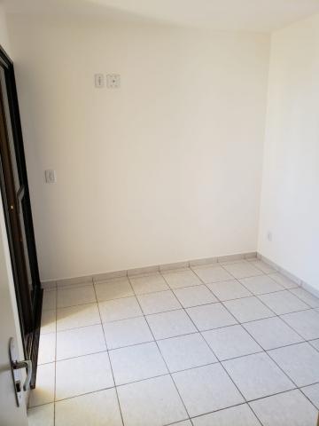 Alugar Apartamento / Padrão em Bauru. apenas R$ 1.350,00