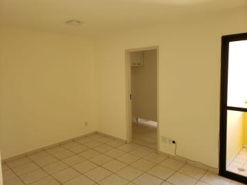 imagem 4 - Apartamento - Padrão imagem 4 - Apartamento - Padrão