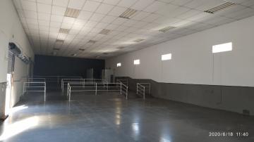 imagem 4 - Comercial - Galpão imagem 4 - Comercial - Galpão