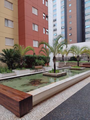 imagem 2 - EUROPA RESIDENCIAL imagem 2 - EUROPA RESIDENCIAL