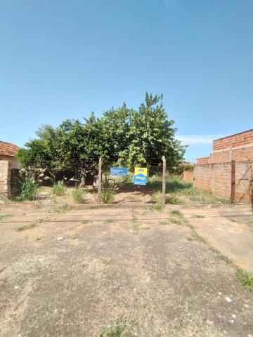 imagem 1 - Terreno - Padrão imagem 1 - Terreno - Padrão