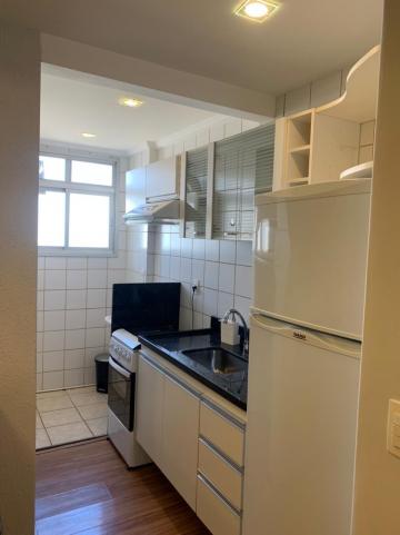 imagem 1 - Apartamento - Padrão imagem 1 - Apartamento - Padrão