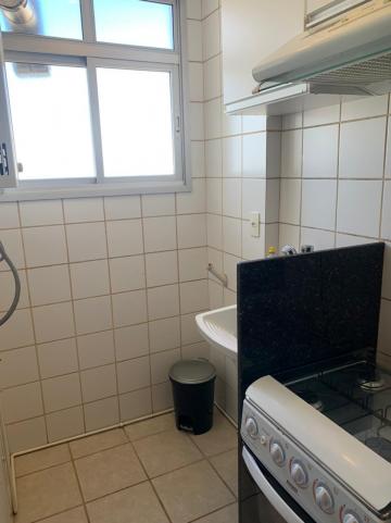 imagem 4 - Apartamento - Padrão imagem 4 - Apartamento - Padrão