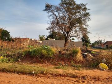 imagem 1 - Terreno - Padrão imagem 1 - Terreno - Padrão