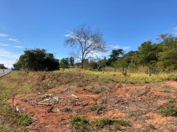 imagem 3 - Terreno - Área imagem 3 - Terreno - Área