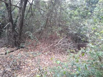 imagem 5 - Terreno - Padrão imagem 5 - Terreno - Padrão