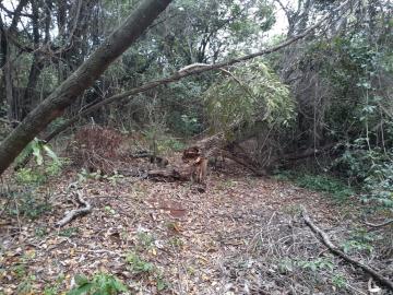 imagem 5 - Terreno - Padrão imagem 5 - Terreno - Padrão