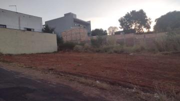 Alugar Terreno / Padrão em Bauru. apenas R$ 120.000,00