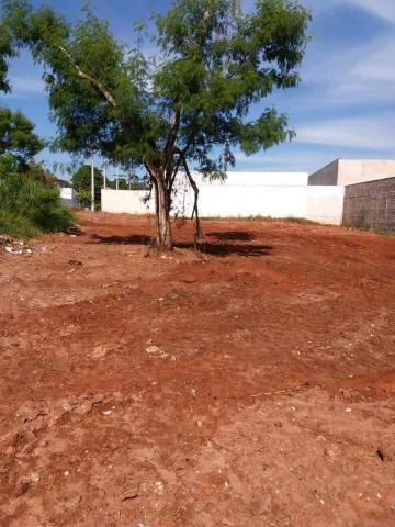imagem 3 - Terreno - Padrão imagem 3 - Terreno - Padrão