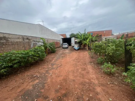 imagem 4 - Terreno - Padrão imagem 4 - Terreno - Padrão